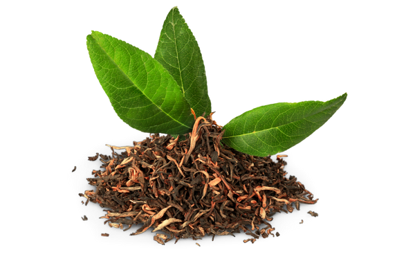 Green Tea (Decaffeinated)
