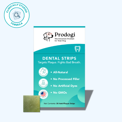 Dental Strips