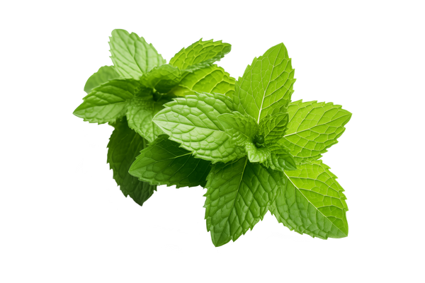 Peppermint