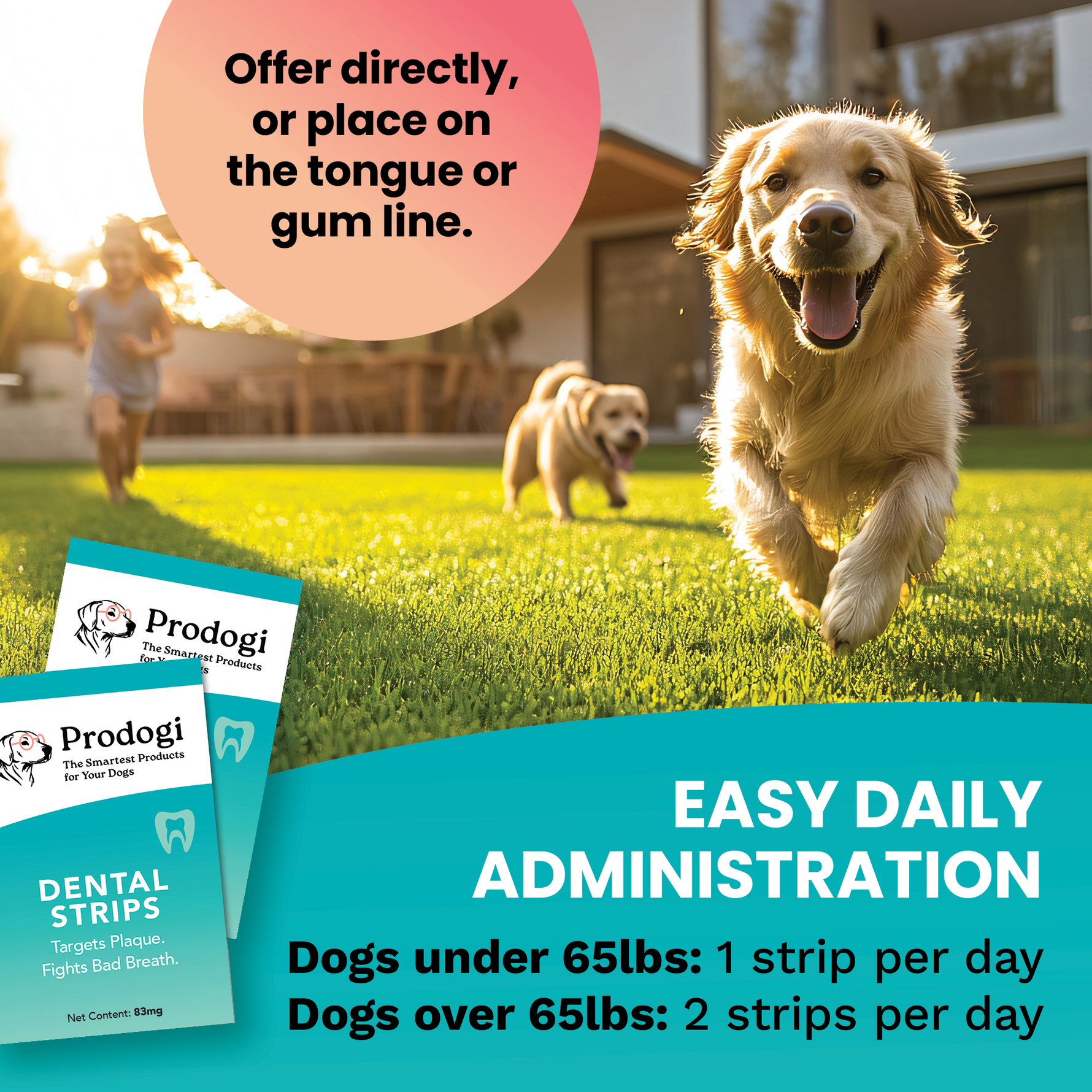 How to give Prodogi dental strips — offer directly or place on the tongue or gum line; daily dosing by dog weight