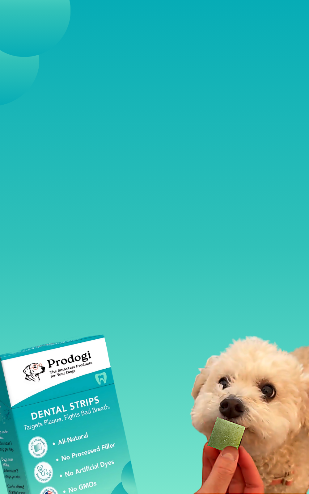 Prodogi dental strips packaging with a dog holding a strip against a teal background