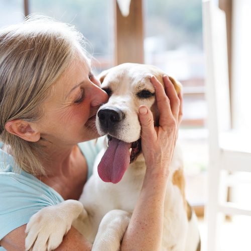 Woman affectionately kissing her happy dog — feel good about daily dental care