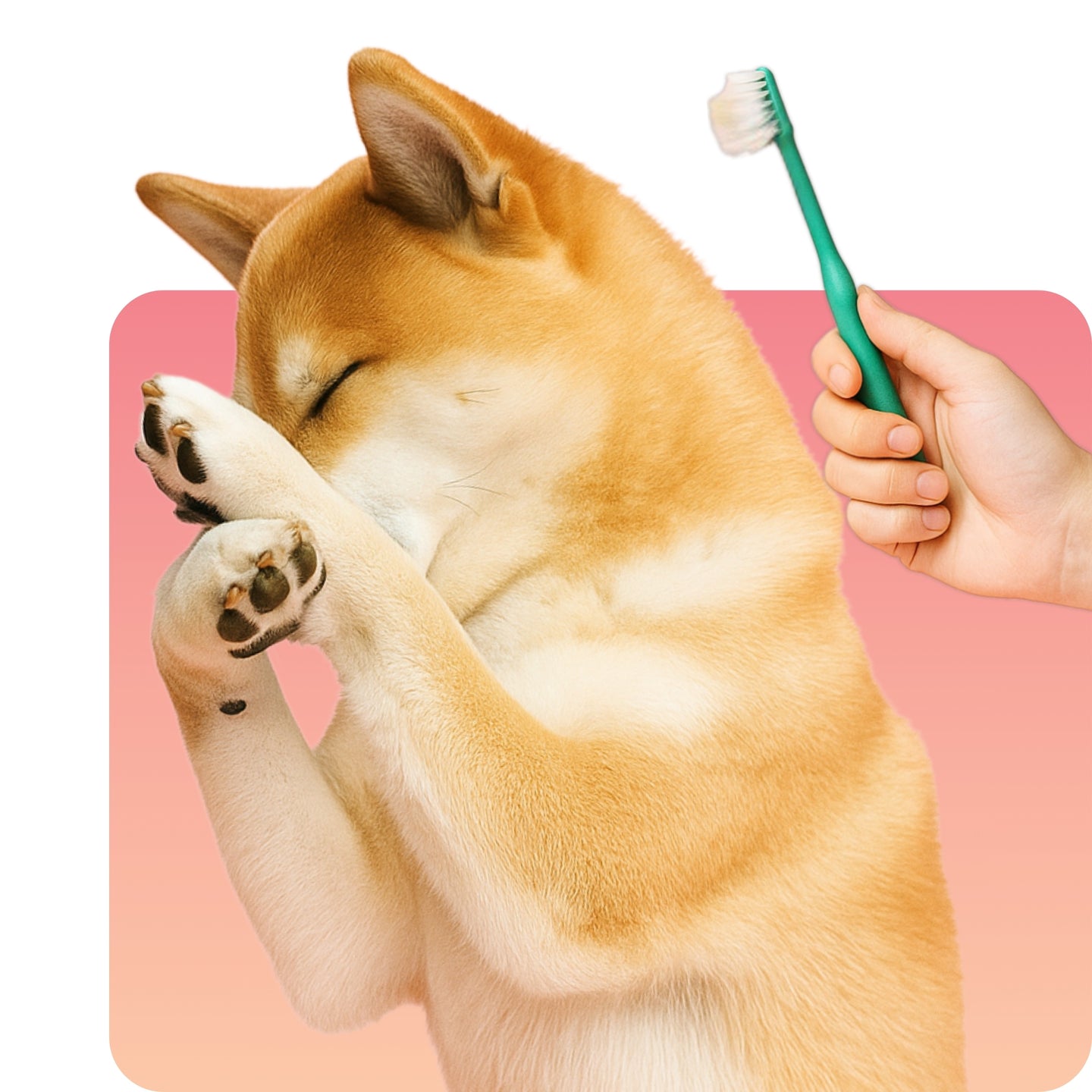 Owner attempting to brush a squirming dog's teeth