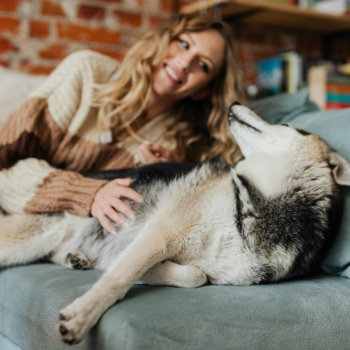 Prodogi dental strips with a happy dog