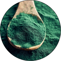 Spirulina